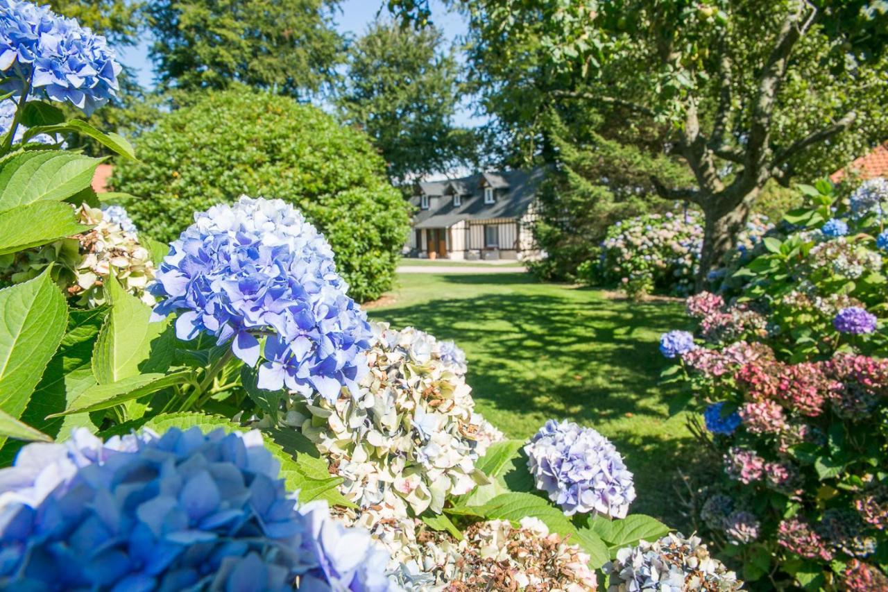 Clos Celeste - Campagne D Etretat Avec Piscine Et Spa (Adults Only) Écrainville Kültér fotó
